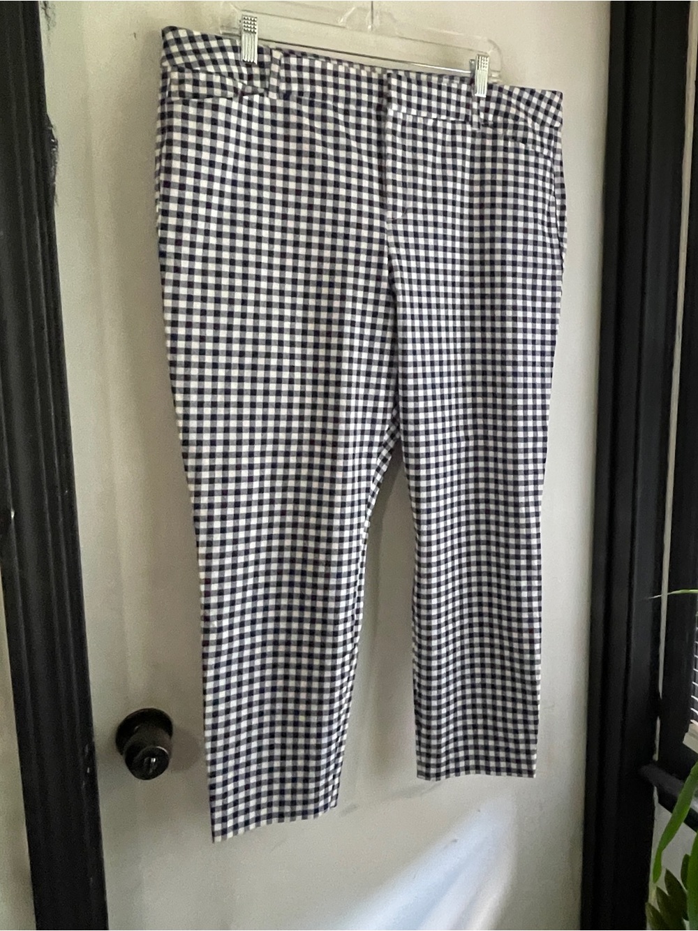 Cato Black & White Gingham Pants